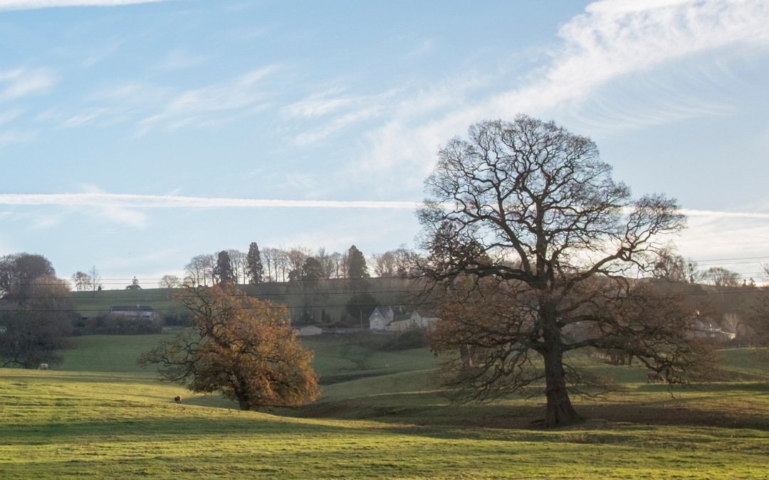 Why use a specialist PR agency to boost your equestrian or country brand?