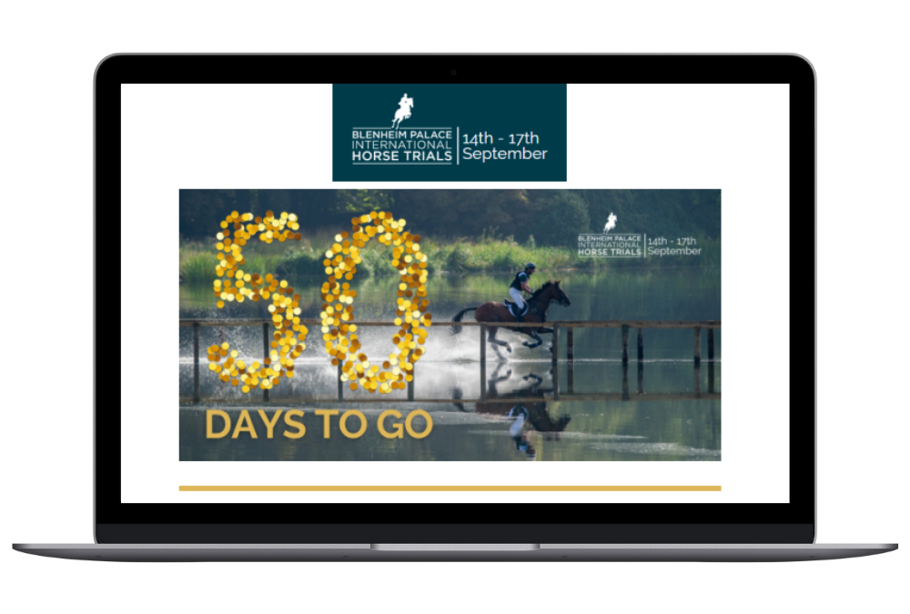 THE IMPORTANCE OF EMAIL MARKETING