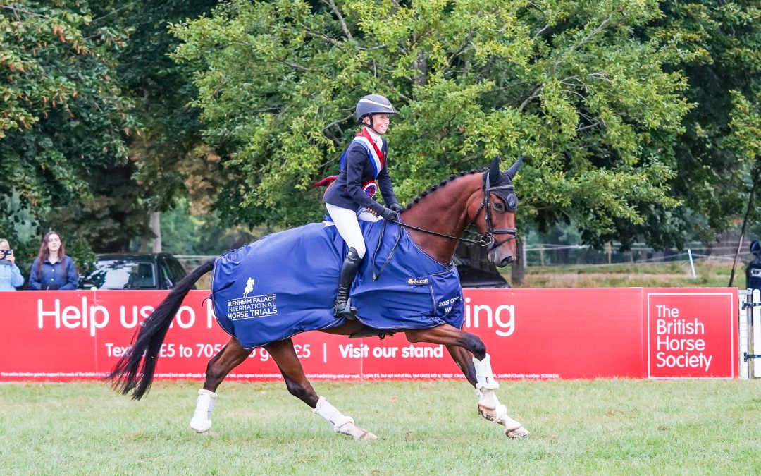 BRITISH HORSE SOCIETY CONTINUE PARTNERSHIP WITH BLENHEIM PALACE INTERNATIONAL HORSE TRIALS