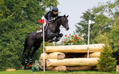 Compiling media coverage reports for our clients