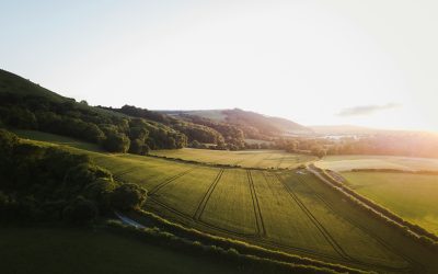 The rise of the countryside as a brand and how we can help you capitalise on it