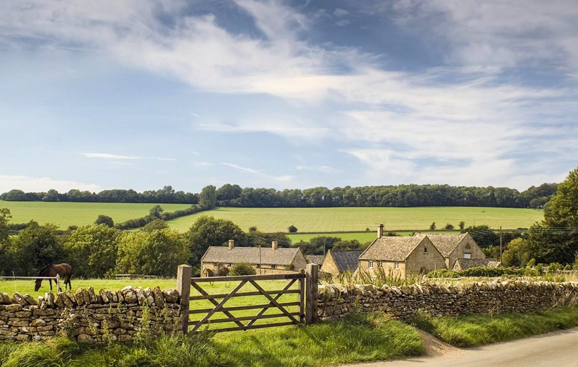 Screenshot 2026-03-12 154527