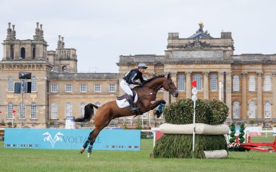 NOT LONG TO WAIT: 100 DAYS TO THE AGRIA BLENHEIM PALACE INTERNATIONAL HORSE TRIALS