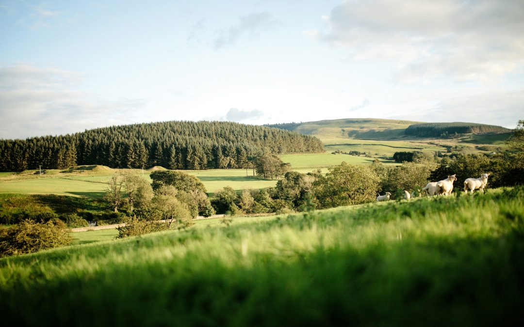 How to brief a PR agency: The ultimate guide for reaching rural & countryside audiences